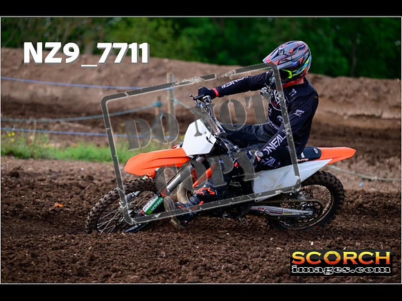 Experts-230