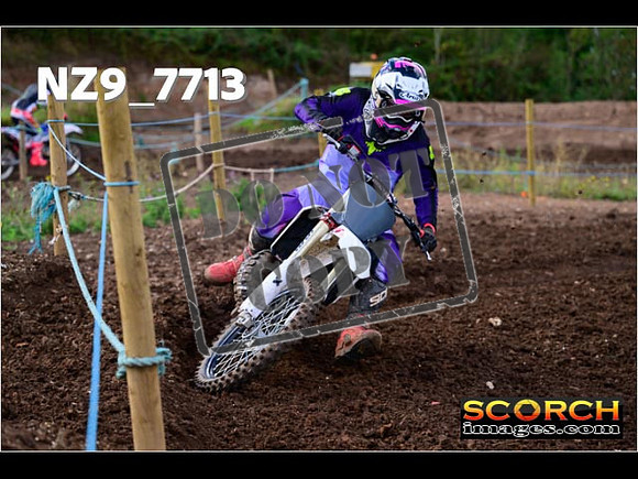 Experts-232