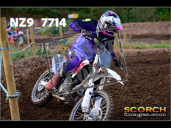 Experts-233