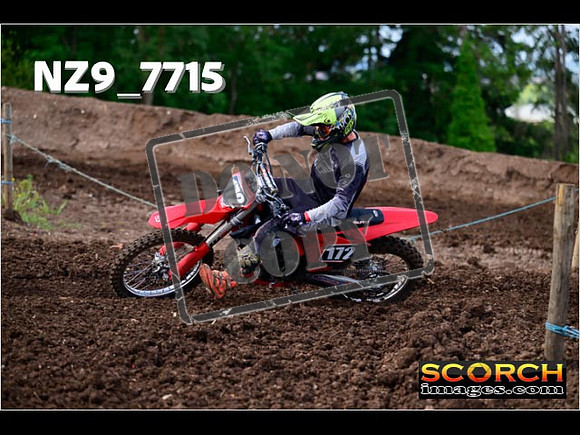 Experts-234