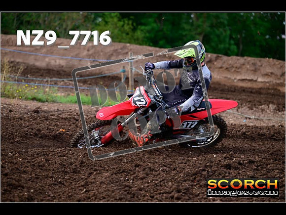 Experts-235