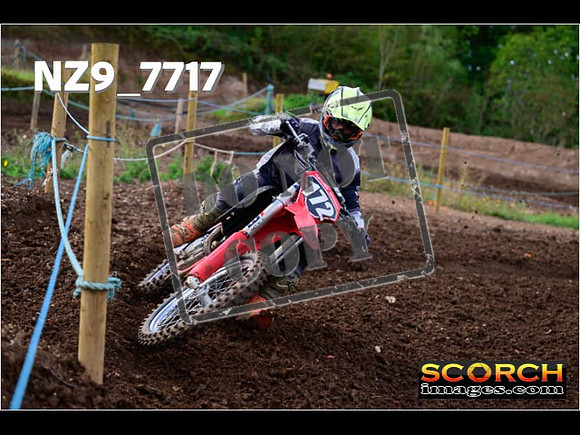Experts-236