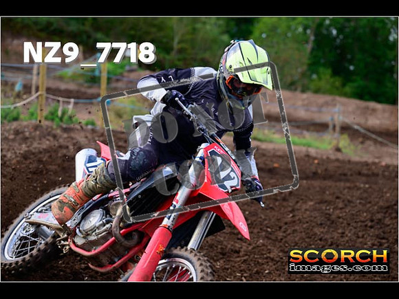Experts-237