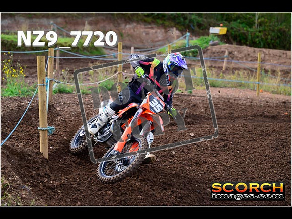 Experts-239