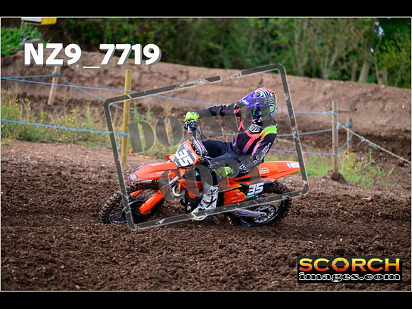 Experts-238