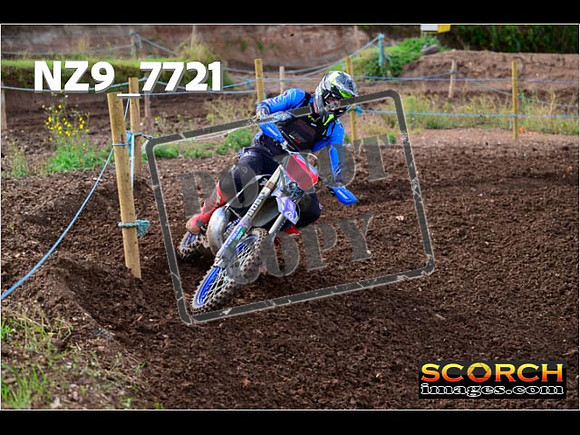 Experts-240