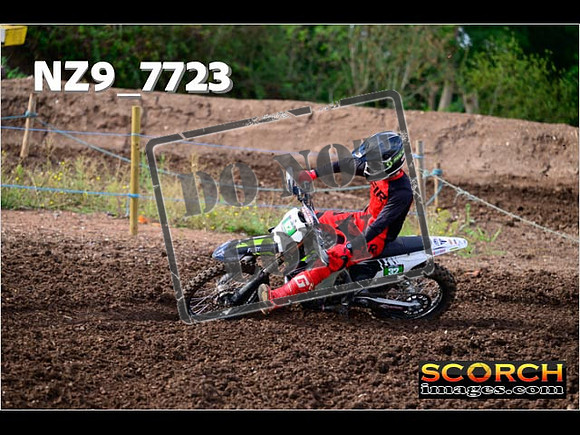 Experts-241