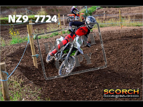 Experts-242