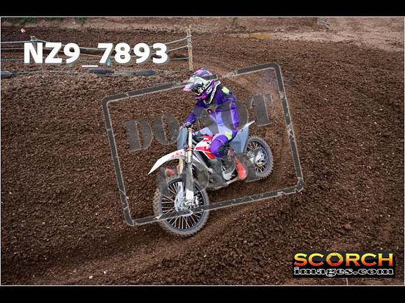 Experts-243