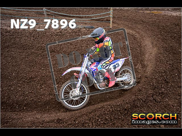 Experts-246