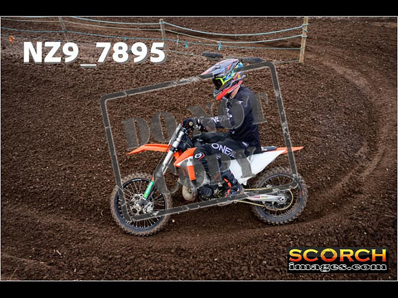 Experts-245