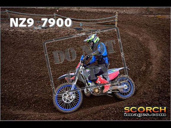 Experts-250