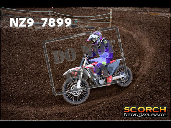 Experts-249