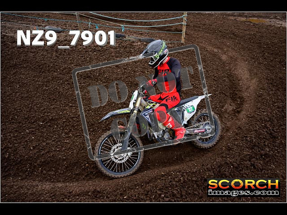 Experts-251