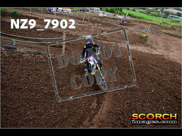 Experts-252