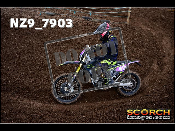 Experts-253