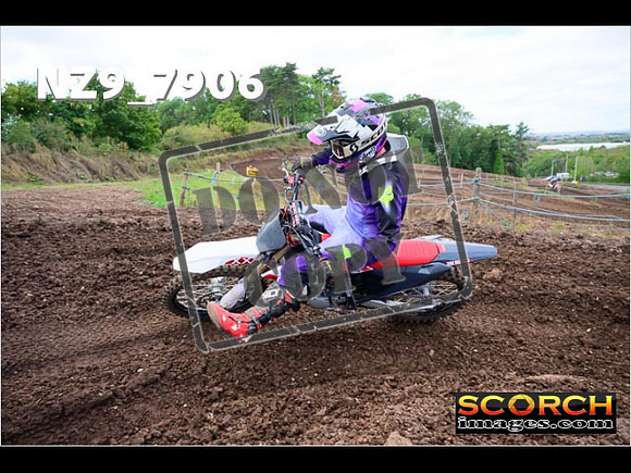 Experts-256