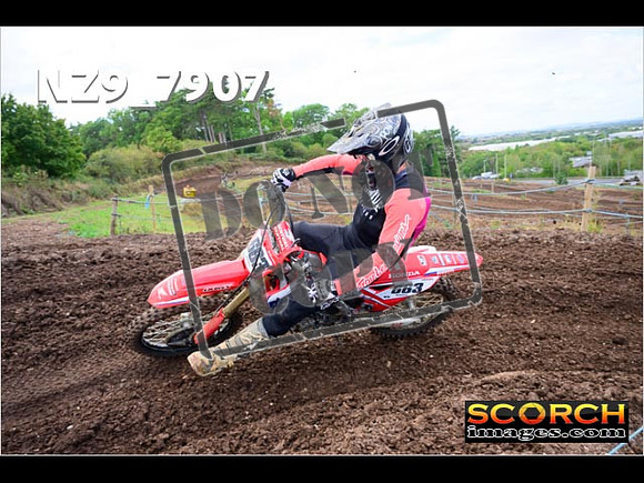 Experts-257