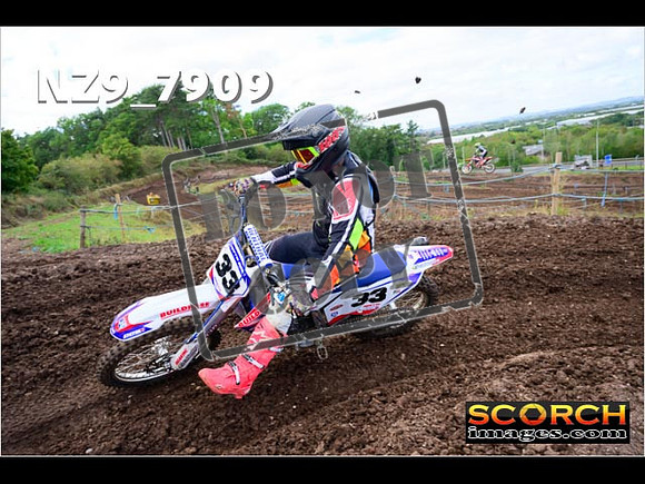 Experts-259