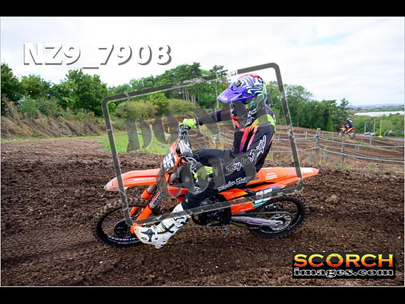 Experts-258