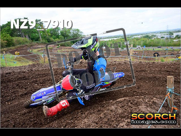 Experts-260