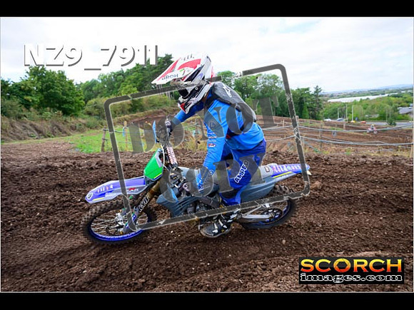 Experts-261