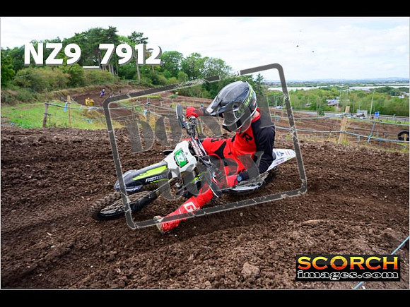 Experts-262