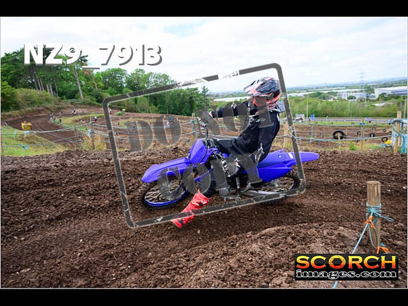 Experts-263