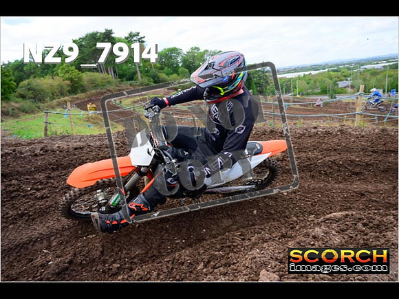 Experts-264