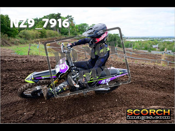 Experts-266