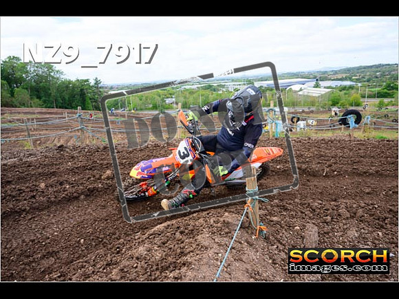 Experts-267