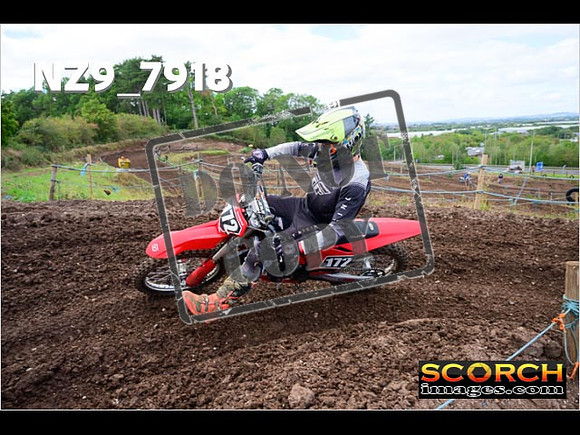 Experts-268