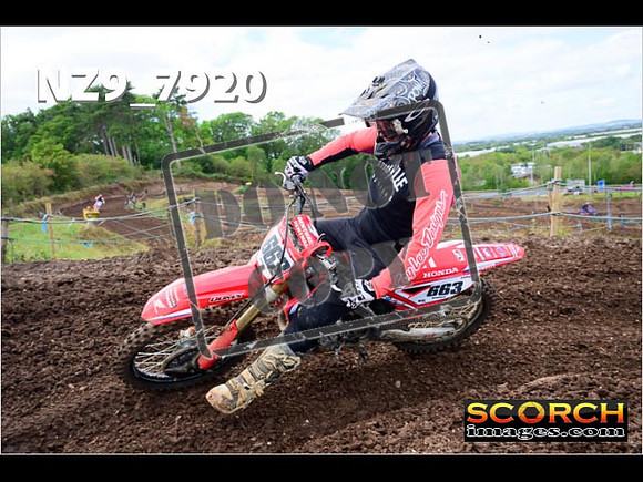 Experts-270
