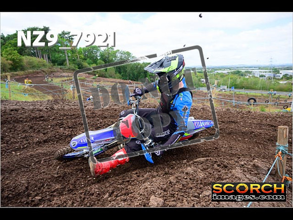 Experts-271