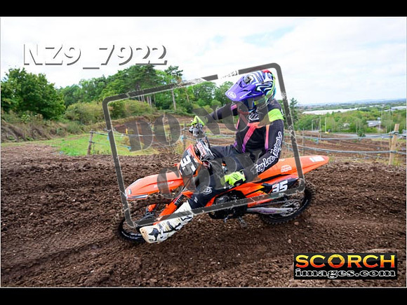 Experts-272
