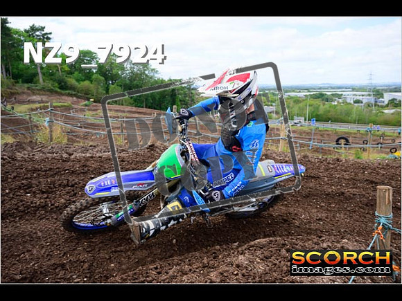 Experts-274