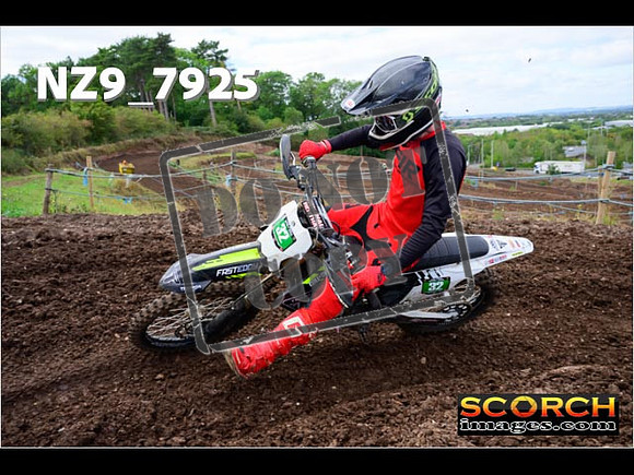 Experts-275