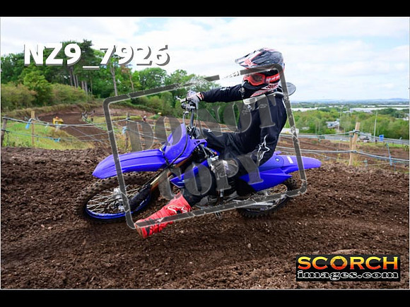 Experts-276