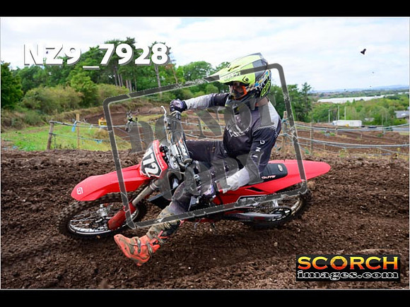 Experts-278