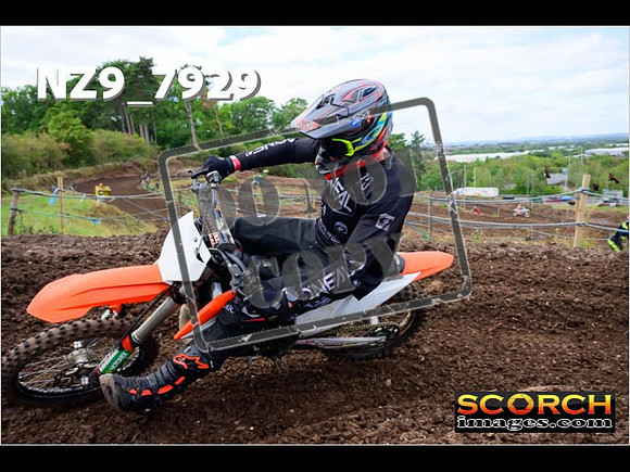 Experts-279