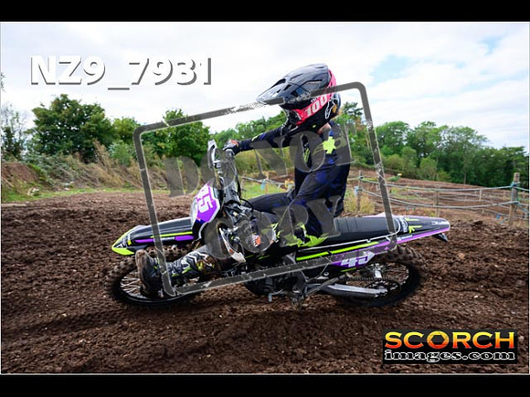 Experts-281