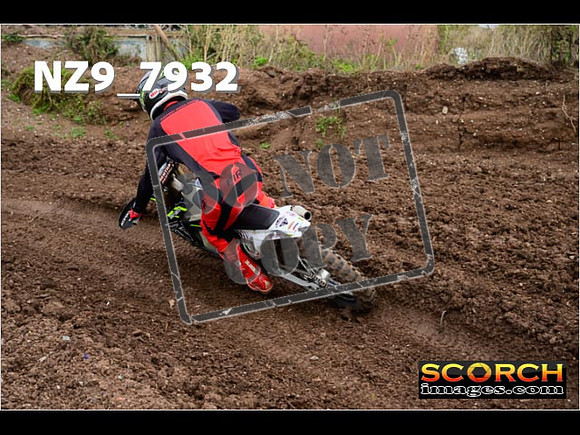 Experts-282