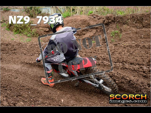 Experts-284