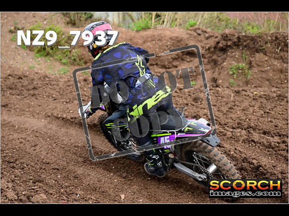 Experts-287