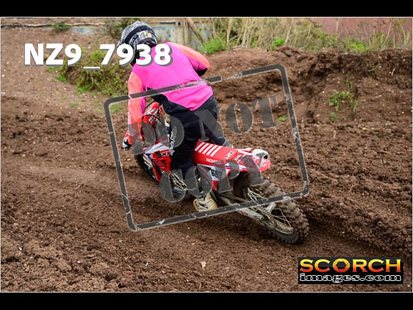 Experts-288