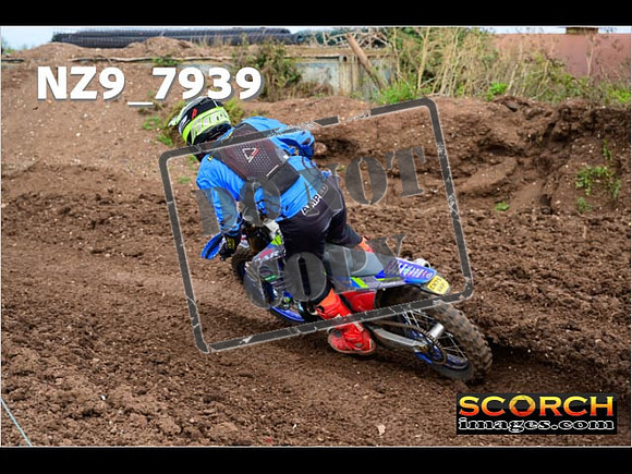Experts-289