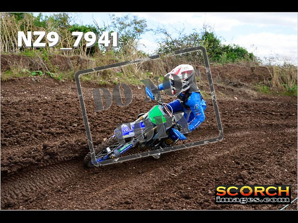Experts-290