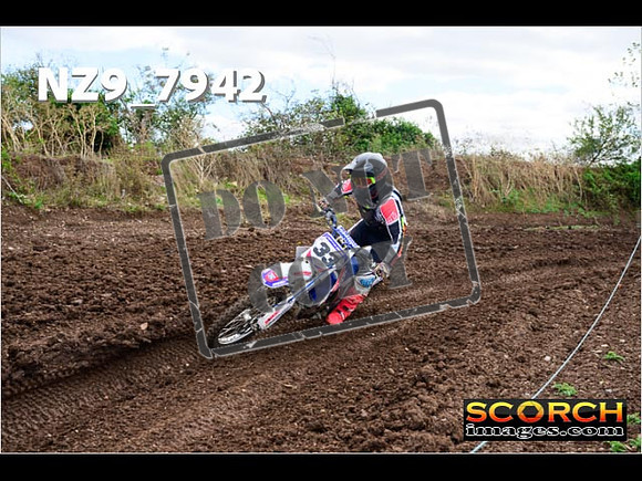 Experts-291