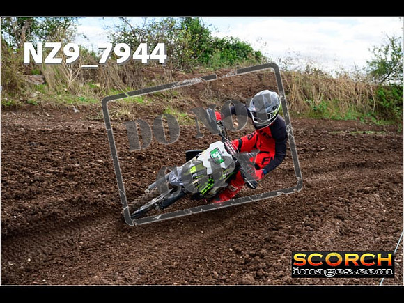 Experts-293