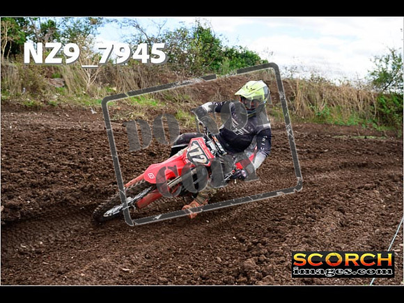 Experts-294